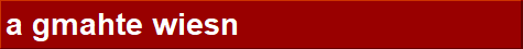 a gmahte wiesn
